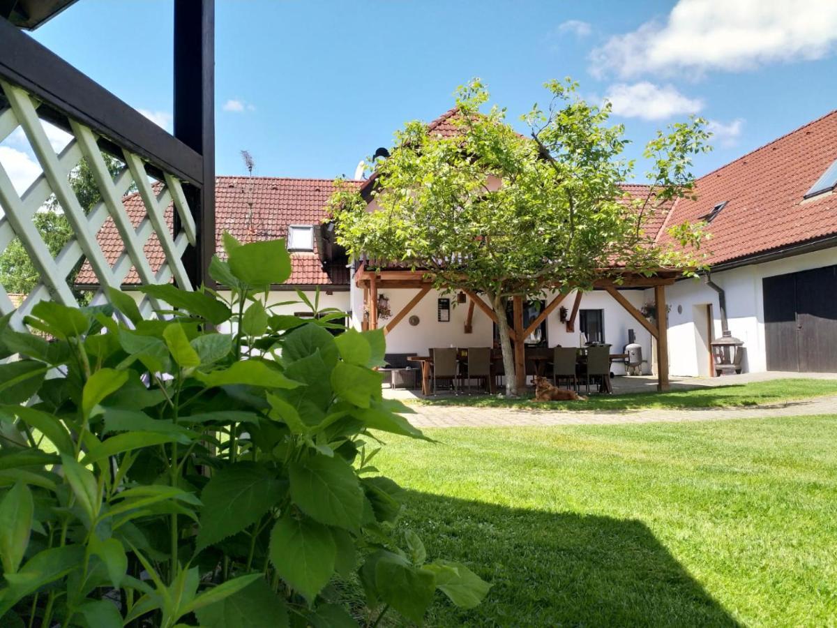 Camping & Guest House Pliskovice Mirovice Exterior photo
